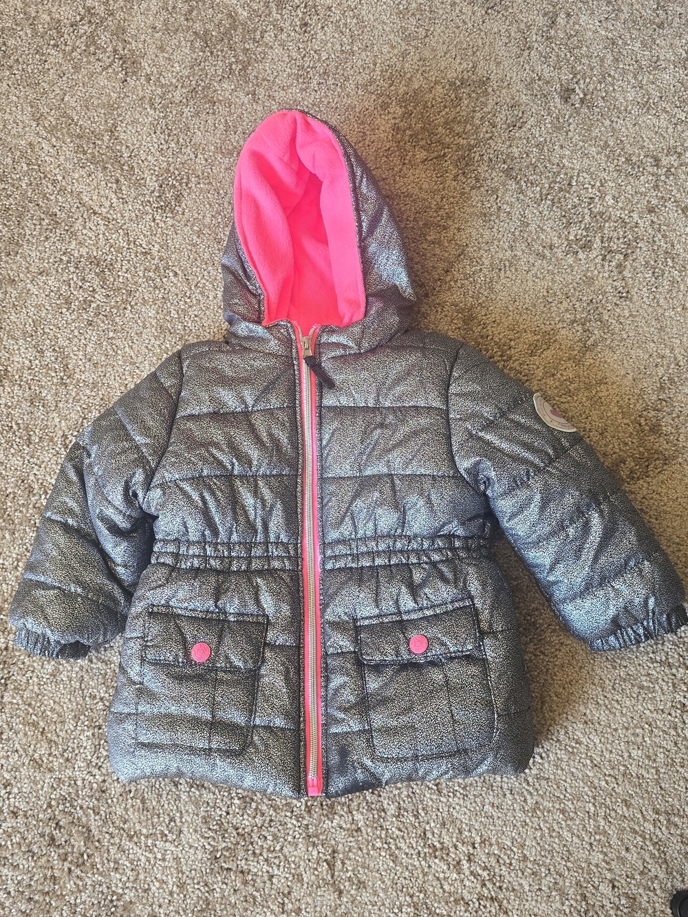 Pink Platinum Metallic Gray Puffer Jacket with Hot Pink Hood. Winter, Snow.